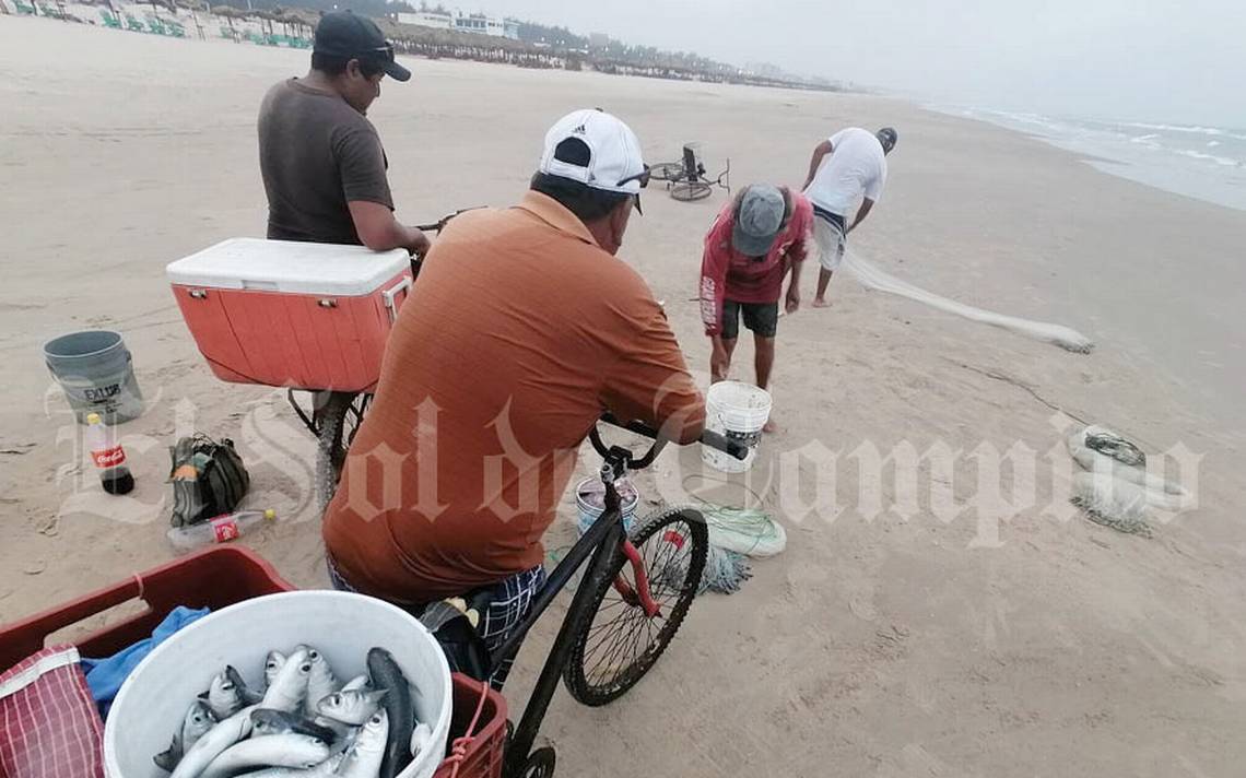 Video] Playa cerrada, ganancia de pescadores - El Sol de Tampico